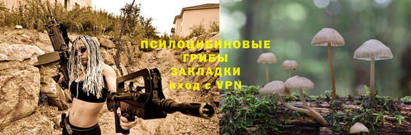 СК Алексеевка
